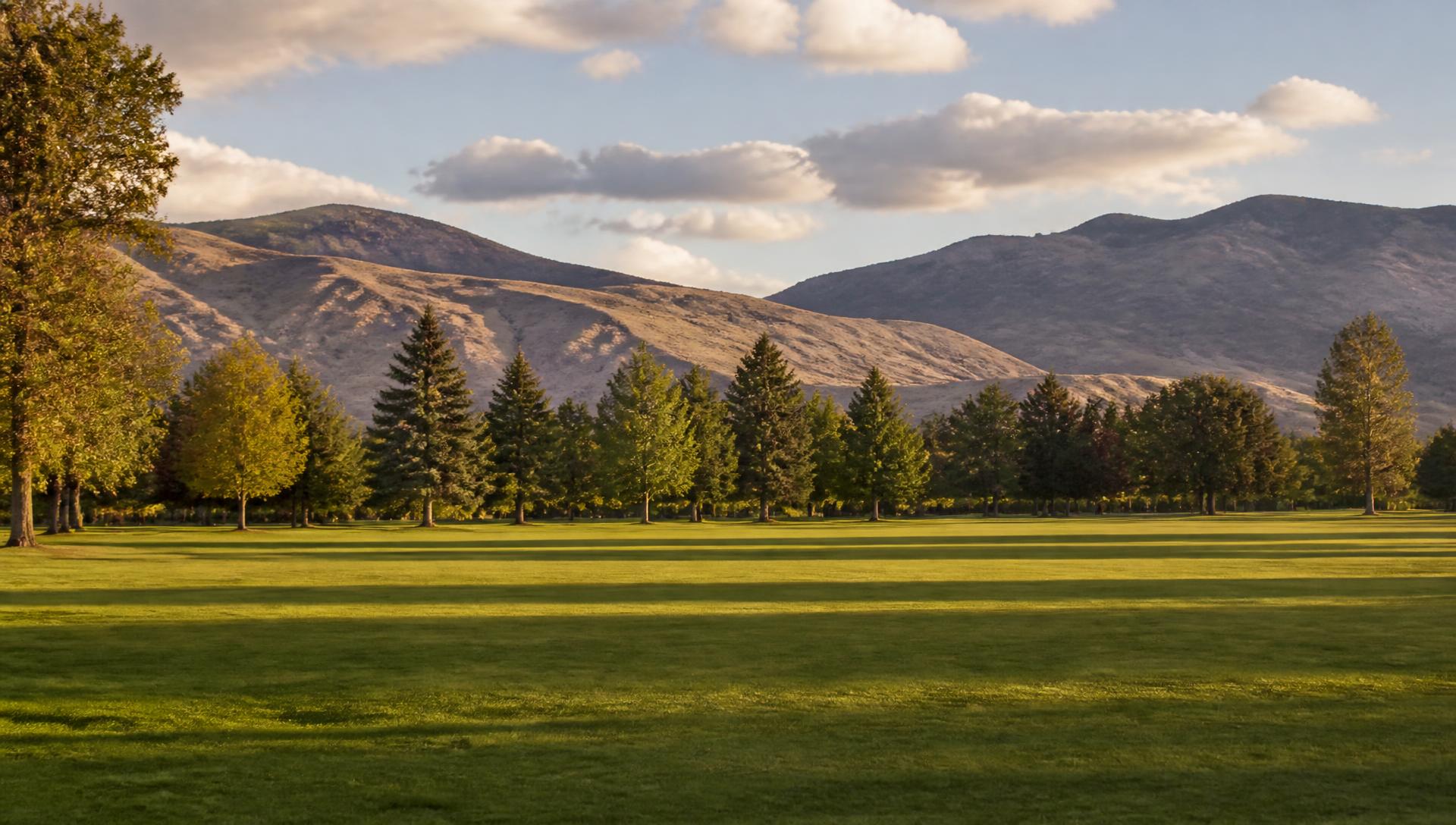 Open meadows at Rancho San Rafael Regional Park with the Sierra foothills beyond